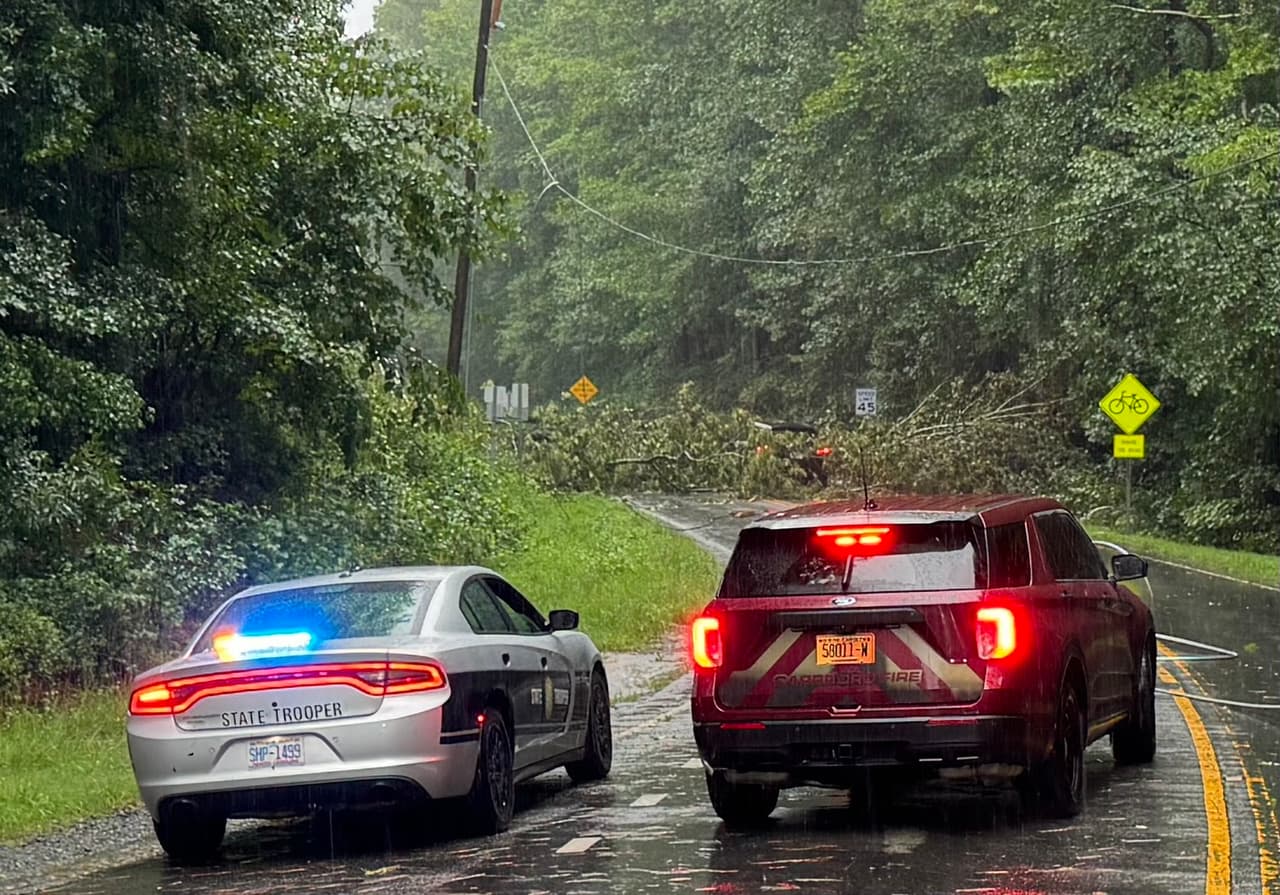 Miles de personas perdieron el
<b><a href="https://www.univision.com/local/north-carolina-wuvc/condados-carolina-norte-debby-electricidad" target="_blank">servicio de energía eléctrica este jueves en Carolina del Norte</a></b>, pues los fuertes vientos de la tormenta Debby
<b>tumbaron árboles y líneas de transmisión</b>. Oficiales del alguacil del condado Orange respondieron a reportes de situaciones como esta que muestra la imagen.