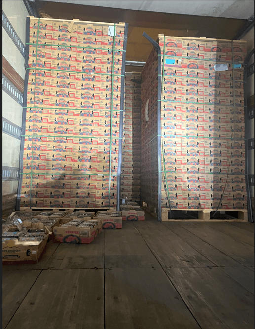 <h3 class="cms-H3-H3"><b>Una vigilancia nocturna y tres camiones refrigerados</b></h3>
<br>
<br>El 20 de noviembre de 2025, agentes federales
<b>vigilaban un almacén de almacenamiento en frío en Fulton County. </b>
<br>
<br>
<b>Tres camiones refrigerados estaban estacionados en el lugar.</b> Uno de ellos
<b>salió acompañado por una SUV, que según la investigación era conducida por Nelson Enrique Sorto, de 36 años.</b>
<br>
<br>Los agentes siguieron el vehículo
<b>hasta una casa en el sureste de Atlanta</b>. Ahí, Sorto habría abierto la parte trasera del camión para revisar la carga.
<br>
<br>Cerca de la medianoche,
<b>la SUV se retiró con dos pasajeros a bordo</b>. Unos kilómetros después, patrulleros de la Policía Estatal de Georgia detuvieron el vehículo, donde
<b>encontraron dos armas de fuego y cajas de moras.</b>
<br>
<br>Al revisar el camión, agentes del GBI con apoyo del FBI
<b> localizaron aproximadamente 924 libras de metanfetamina ocultas entre las tarimas de fruta.</b>