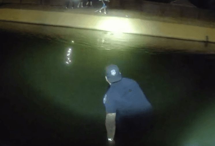 Por fin lograron identificar el punto en el que
<b>el animalito trataba de mantenerse a flote</b>.