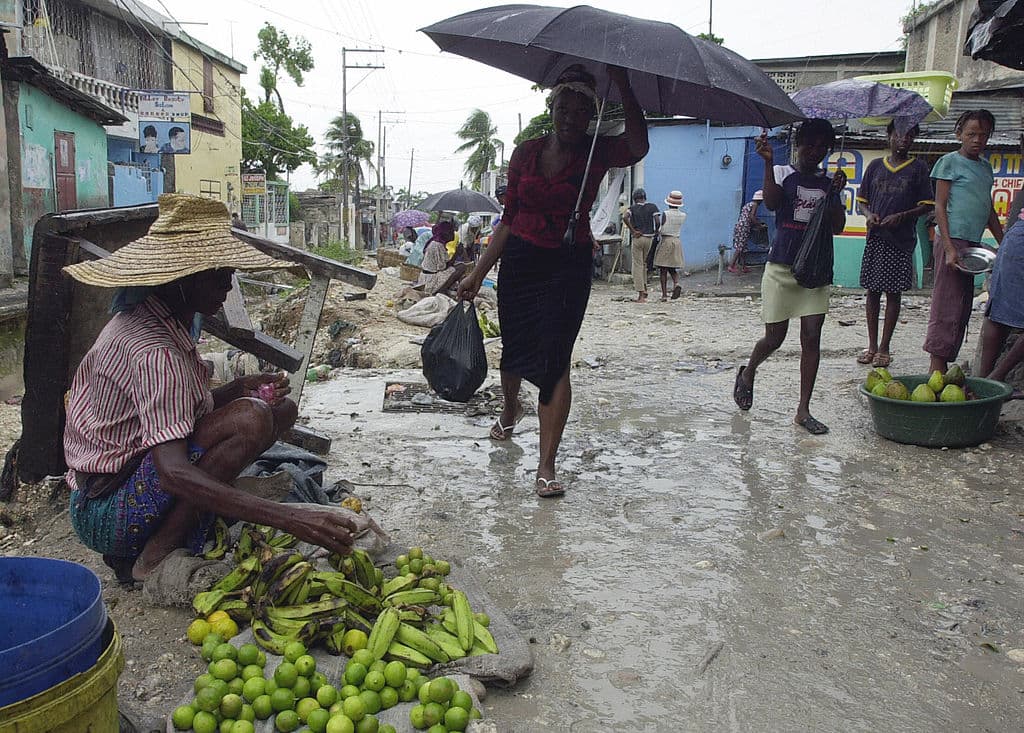 <b>10. Jamaica.</b> En 2020, al país llegaron
<b>$3,000 millones</b>. Esta cantidad representó el 21.2% de su producto interno bruto (PIB) anual. Se encuentra entre los 10 países de ingreso medio o menor que más remesas recibieron en el año.