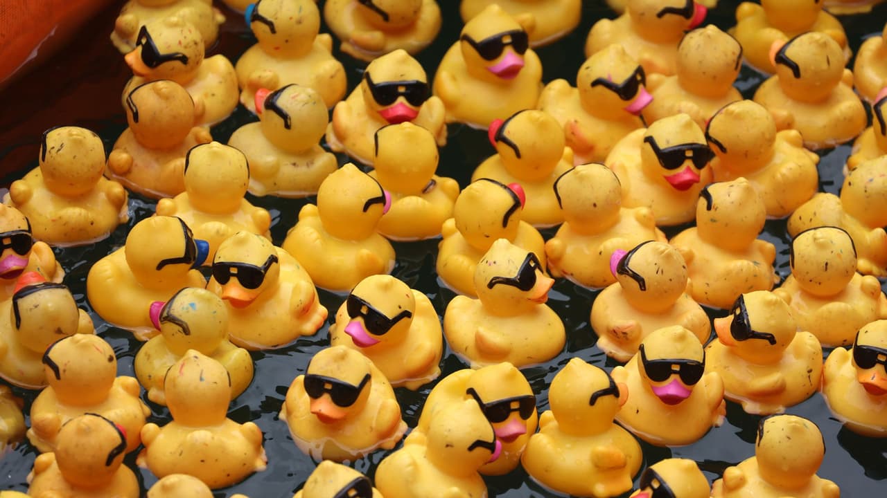 Ducky Derby 2025: El río de Chicago se llena de patitos de goma para una buena causa