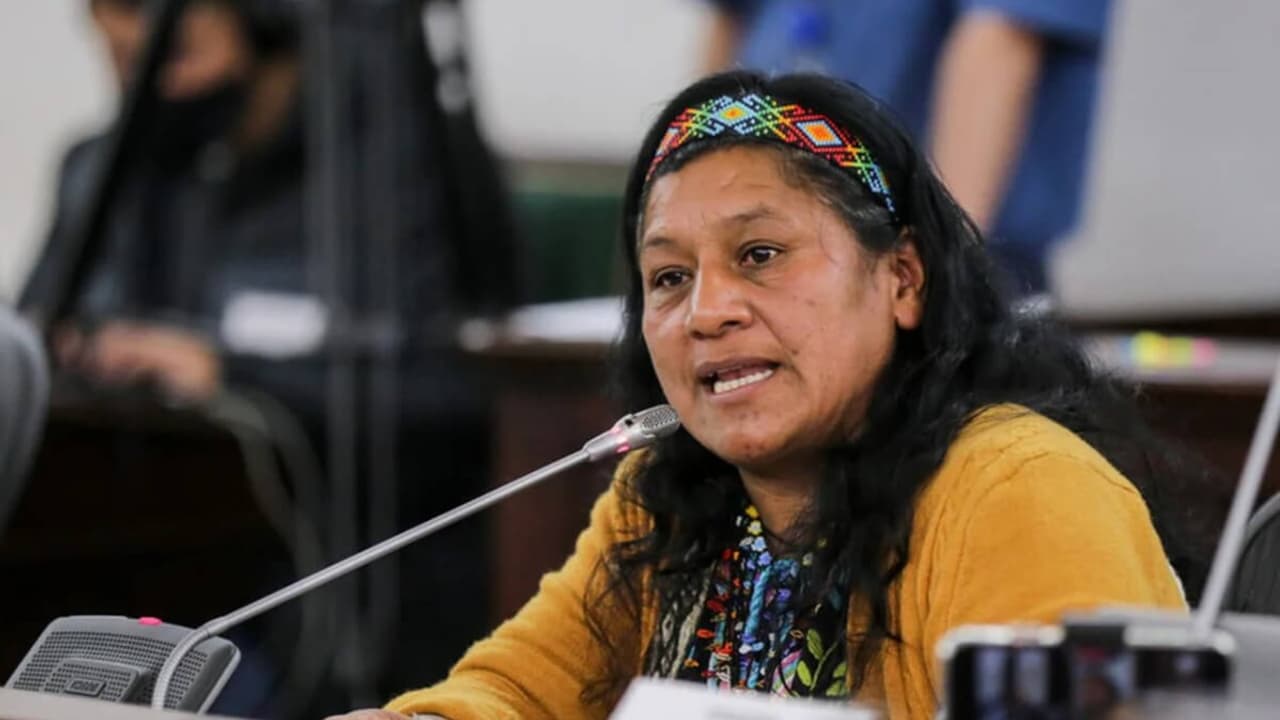 Localizan a senadora indígena colombiana Aída Quilcué junto a su equipo de seguridad, confirma Ministro de Defensa