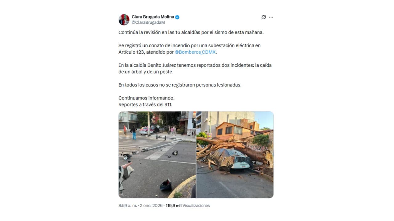 La Jefa de Gobierno de la Ciudad de México reportó caída de un semáforo y un árbol en la CDMX.