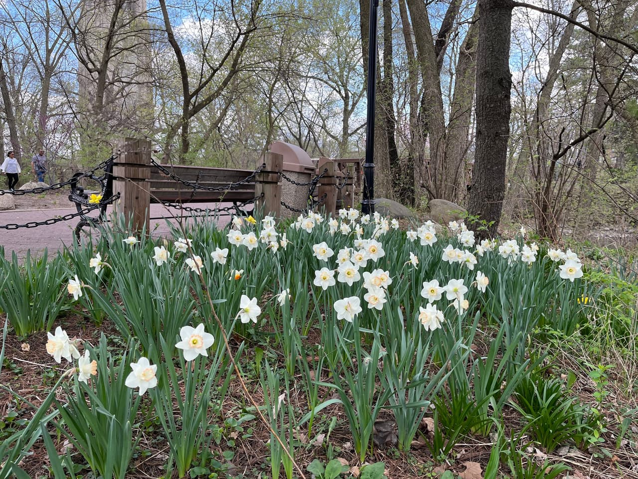 Naperville, Illinois, es la mejor ciudad para vivir en EE.UU por tercer año consecutivo
