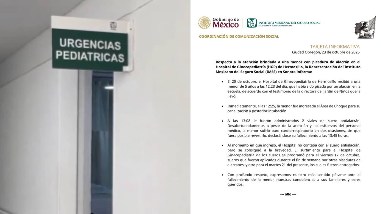 Anuncian investigación tras la muerte de una niña por la picadura de un alacrán en la escuela