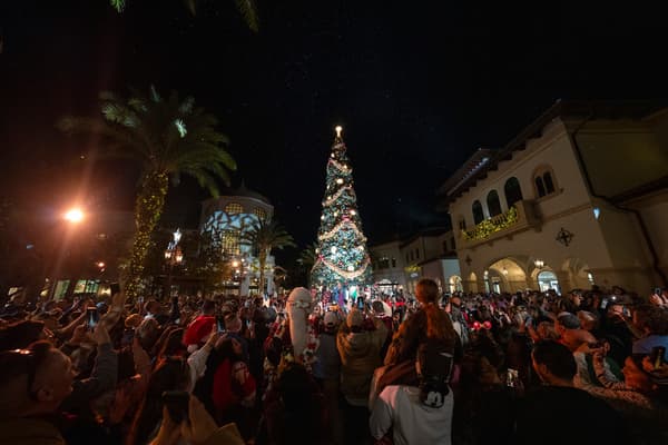 Disney Springs combina compras, música en vivo y nevada artificial nocturna, junto al recorrido Christmas Tree Stroll, que presenta árboles temáticos inspirados en historias Disney. Sus rincones decorados y la presencia de Santa Claus ofrecen imágenes llenas de ambiente festivo.