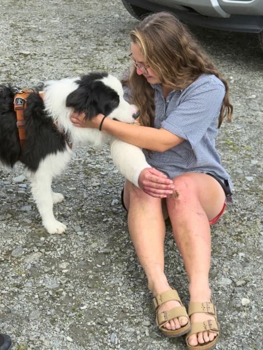 Perra extraviada en bosque de Nueva Zelanda es rescatada en helicóptero tras colecta de miles de dólares