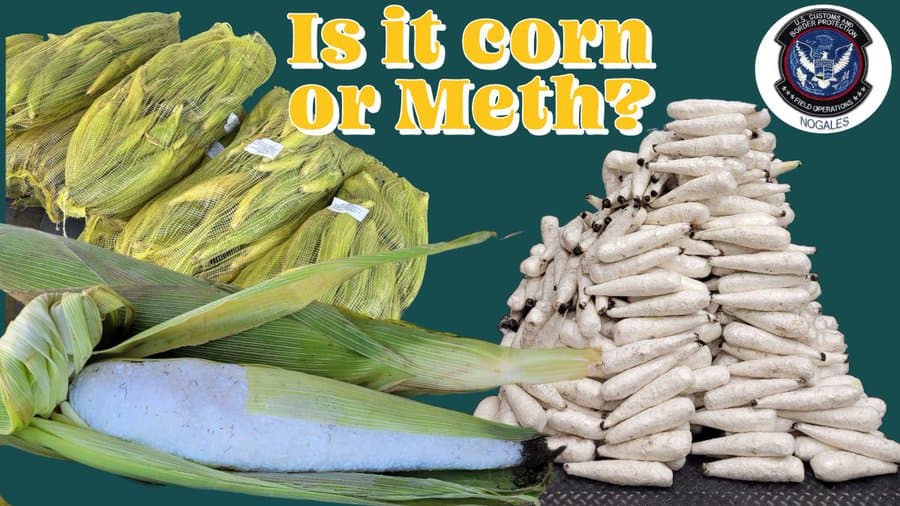 No eran elotes: Oficiales en Nogales descubrieron más de 375 libras de
<b>metanfetamina, cubiertas con hojas de maíz</b>.