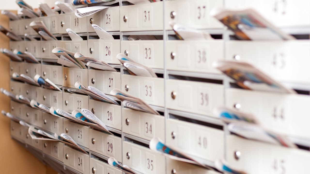 <h3 class="cms-H3-H3">En resumen 📬</h3> Tu código postal
<b>no es un número cualquiera.</b> Es parte del
<b>mapa invisible que mantiene en movimiento a un país de más de 300 millones de personas</b>.
<br>Con solo cinco dígitos,
<b> USPS organiza rutas, conecta regiones y da sentido a millones de entregas diarias.</b>
<br>Y aunque fue creado para enviar cartas, hoy también ayuda a entender
<b>cómo vivimos, dónde compramos, y cómo nos conectamos como sociedad.</b>