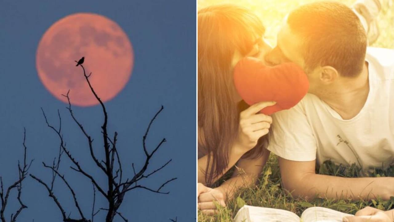 Luna de Fresa: atrae al amor de tu vida usando la energía de esta luna llena con estos rituales