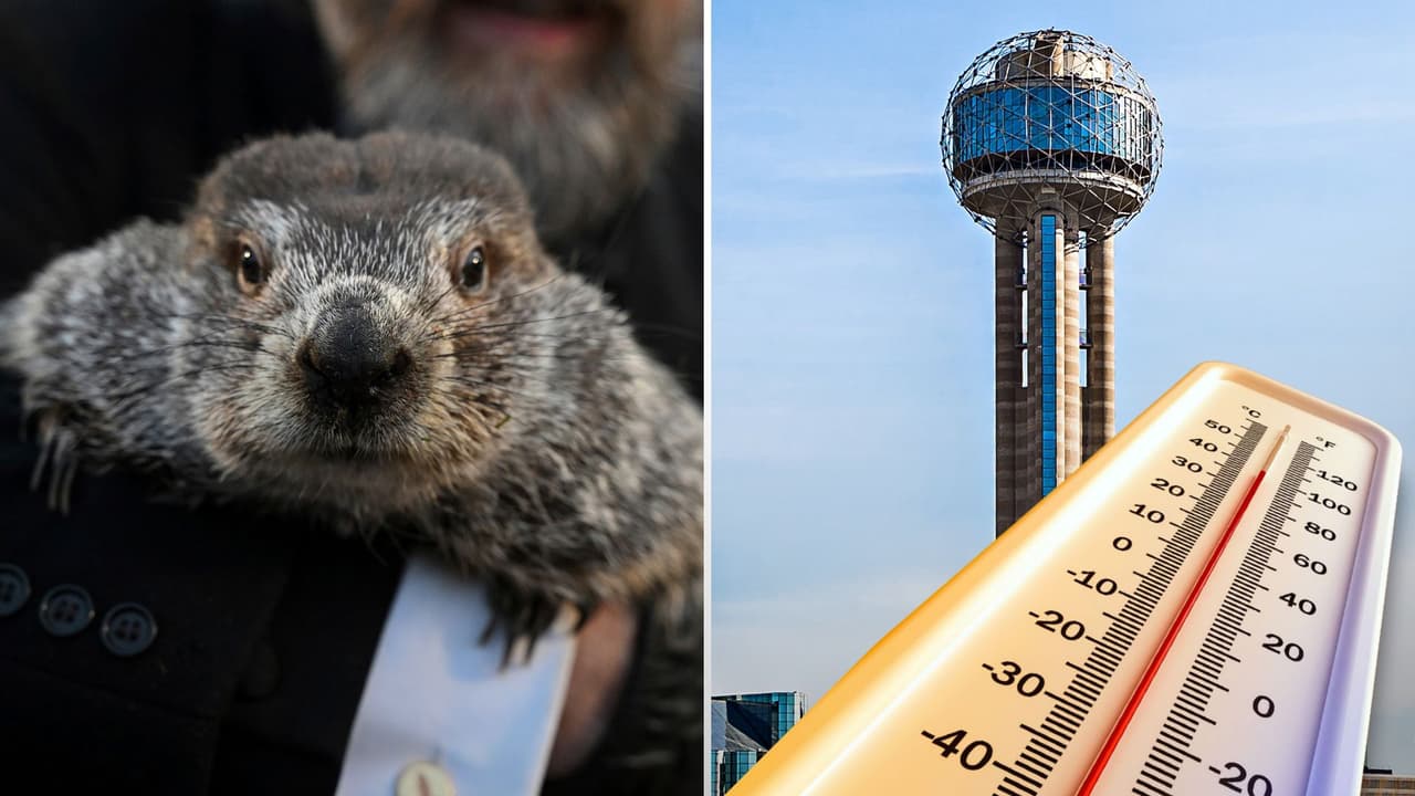 La marmota Phil predice más invierno, pero Dallas - Fort Worth tendría temperaturas arriba de lo normal