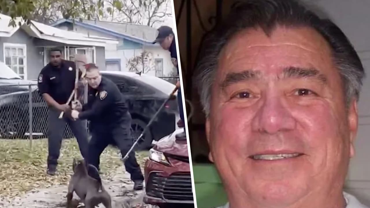 Perros que mataron a un veterano en San Antonio tenían una lista de ataques previos, revela demanda