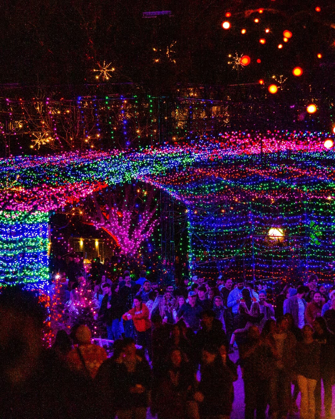 Este es uno de los túneles iluminados dentro del Austin Trail of Lights.