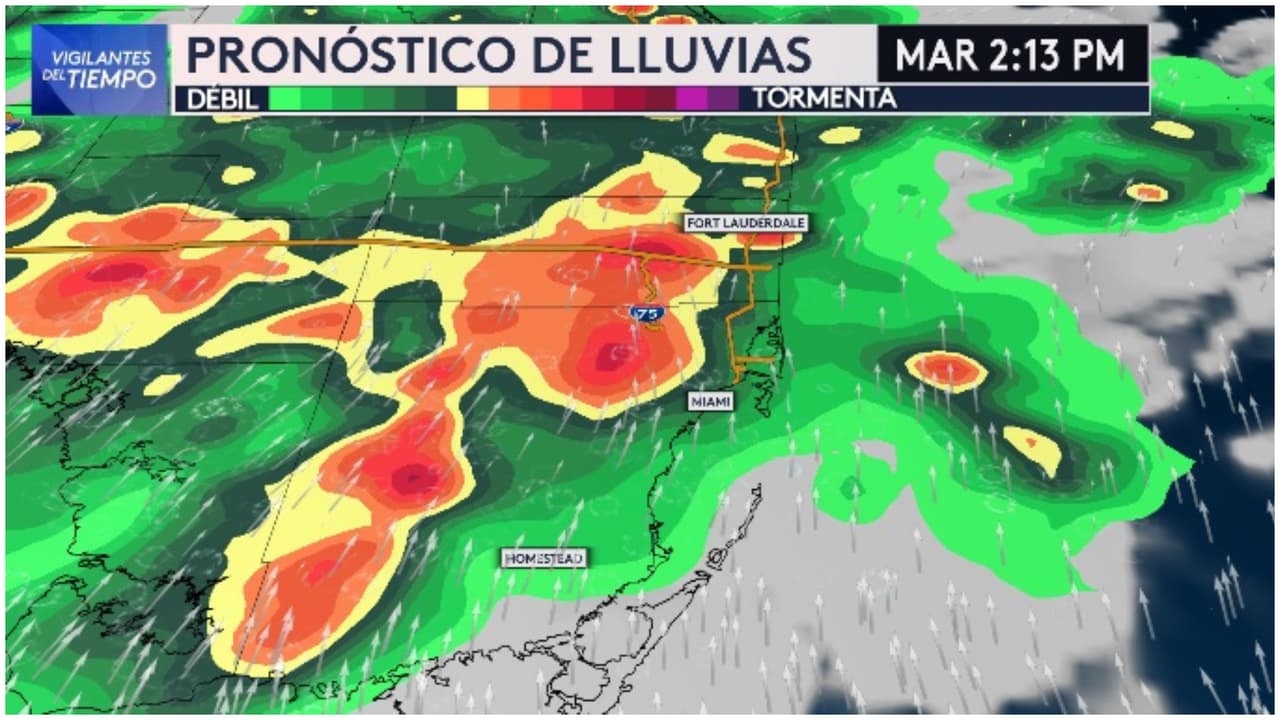 Se pronostican más tormentas y posibles inundaciones para la tarde de este martes en el sur de Florida
