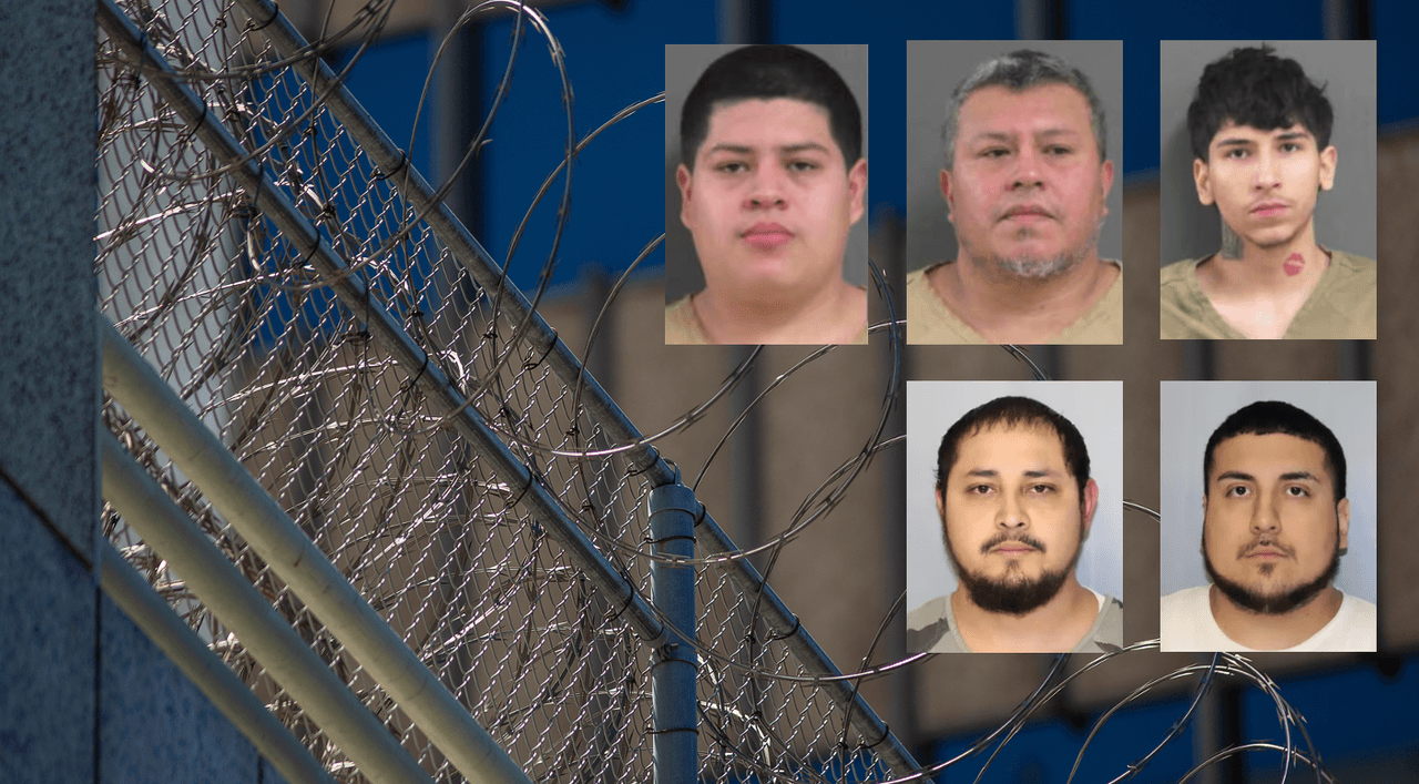 Incautación de THC y marihuana en Georgia: cinco hombres son arrestados en dos incidentes distintos