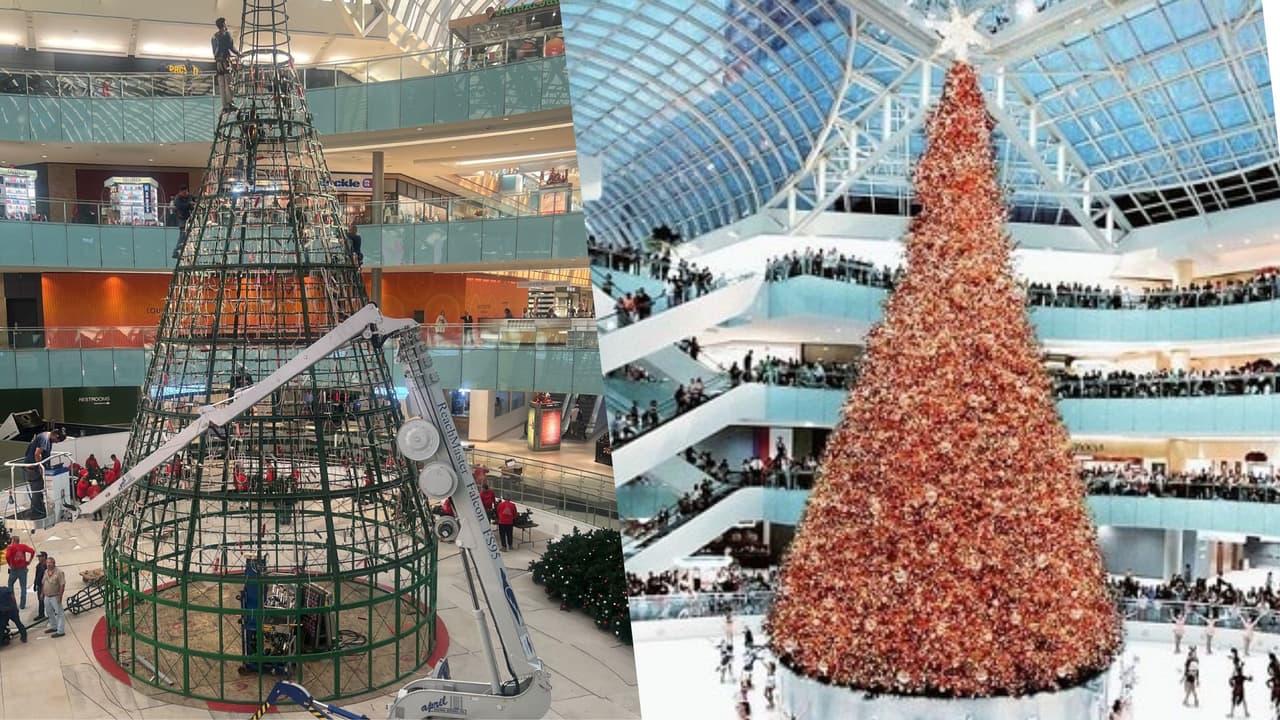 Luces y alegría en Texas: Conoce el árbol navideño bajo techo más alto de Estados Unidos, y es gratis