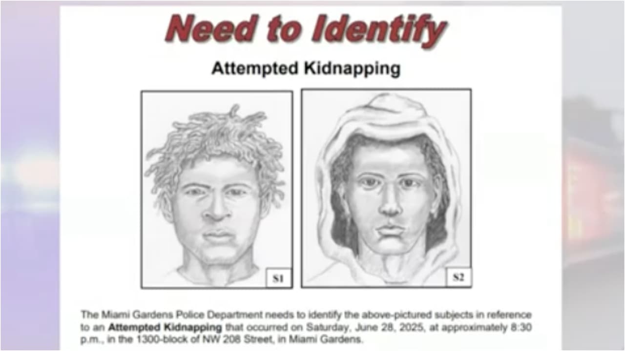 Un menor de edad escapó corriendo de varios hombres que intentaron secuestrarlo