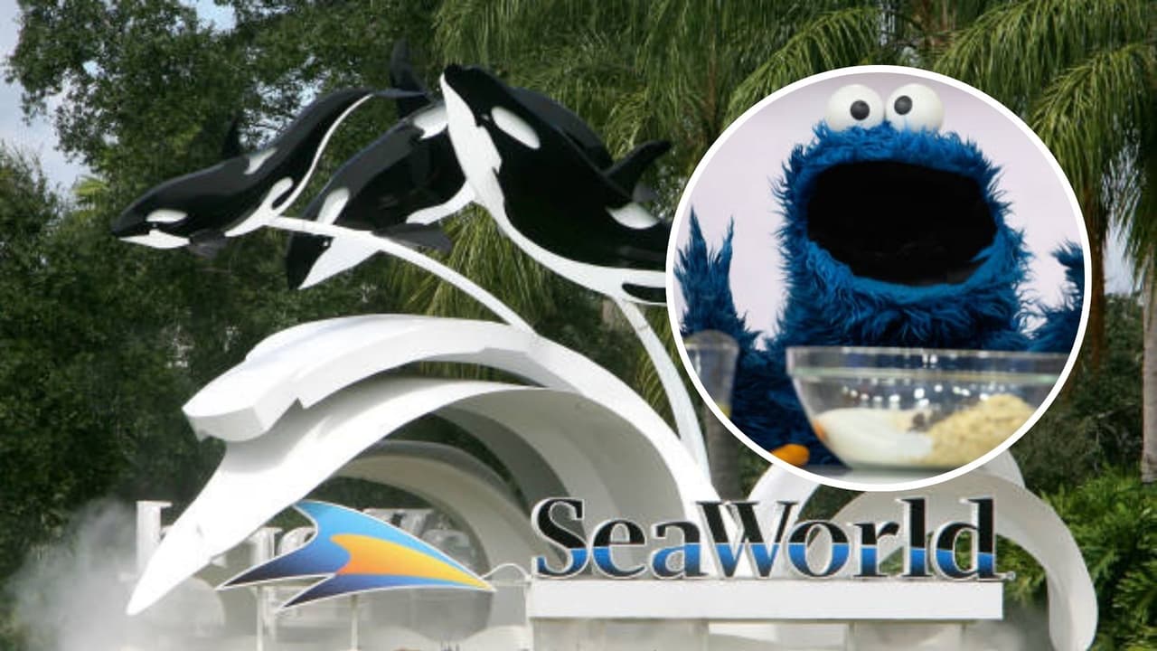 ¿Quién se quedó con las galletas? Plaza Sésamo demanda a SeaWorld