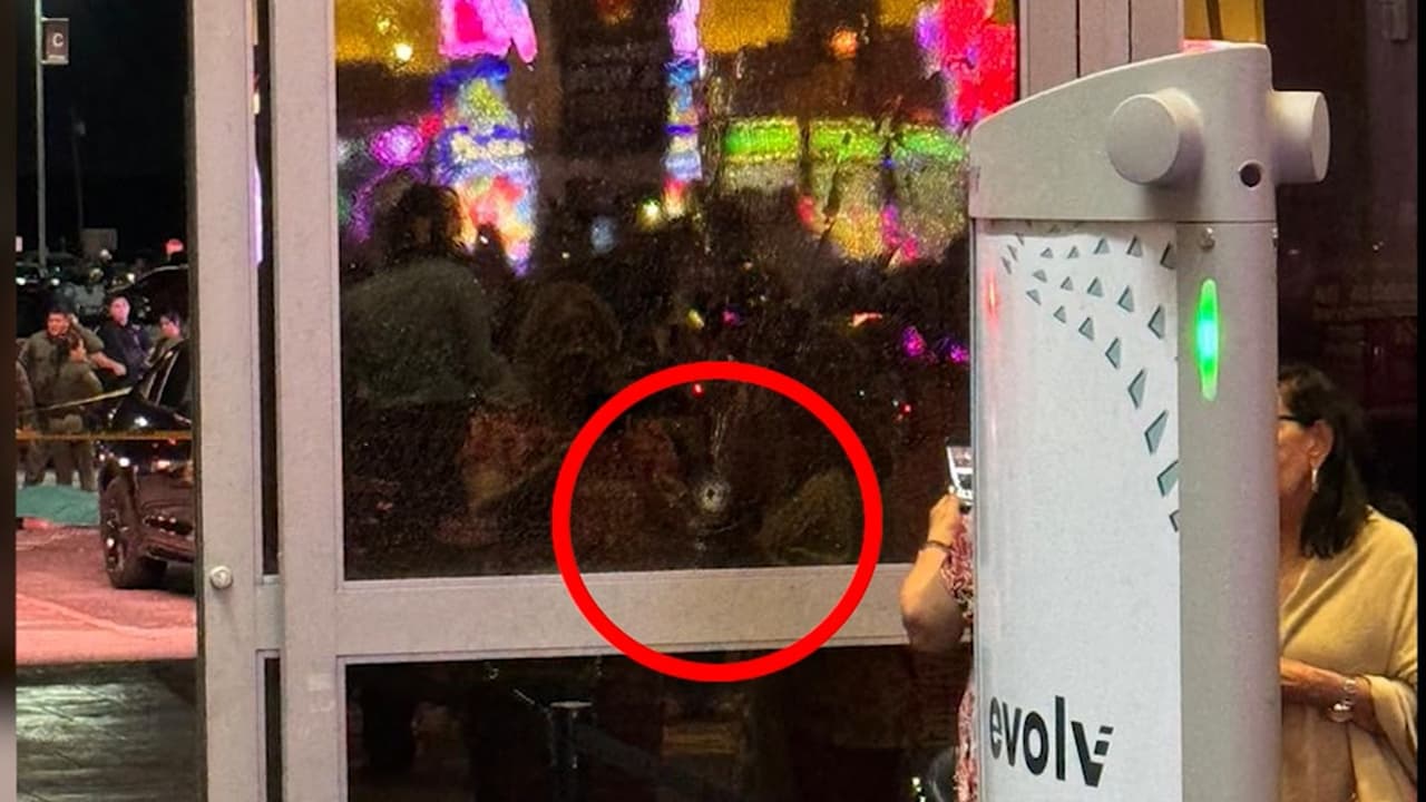 Testigos describieron momentos de temor en redes sociales. Algunos relataron que
<b> un disparo impactó una puerta de entrada</b> y otro alcanzó una máquina.
<br>
<br>Eduarda Trejo, una de las afectadas, contó a Univision que en medio de la confusión, empleados del hotel comenzaron a gritar
<b><i>“tirador activo, corran, corran, sálganse</i></b>”, lo que generó que decenas de personas buscaran cómo ponerse a salvo.