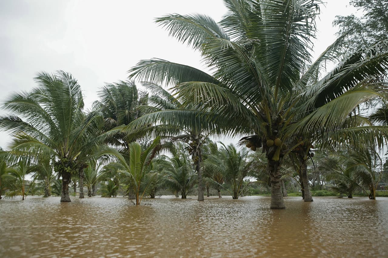 <b>Honolulu, Hawaii</b> – Las hermosas islas de Hawaii quedarán sumergidas con el aumento en el nivel del mar. Tan solo una pulgada de elevación haría que el agua se adentre 100 pies sobre la playa. Cuando suba 5 pies, imaginas lo que sucedería en Honolulu. Además todo el archipiélago va a quedar situado en lo que se denomina un corredor de huracanes, lo que hace la zona aún más vulnerable para sus pobladores.