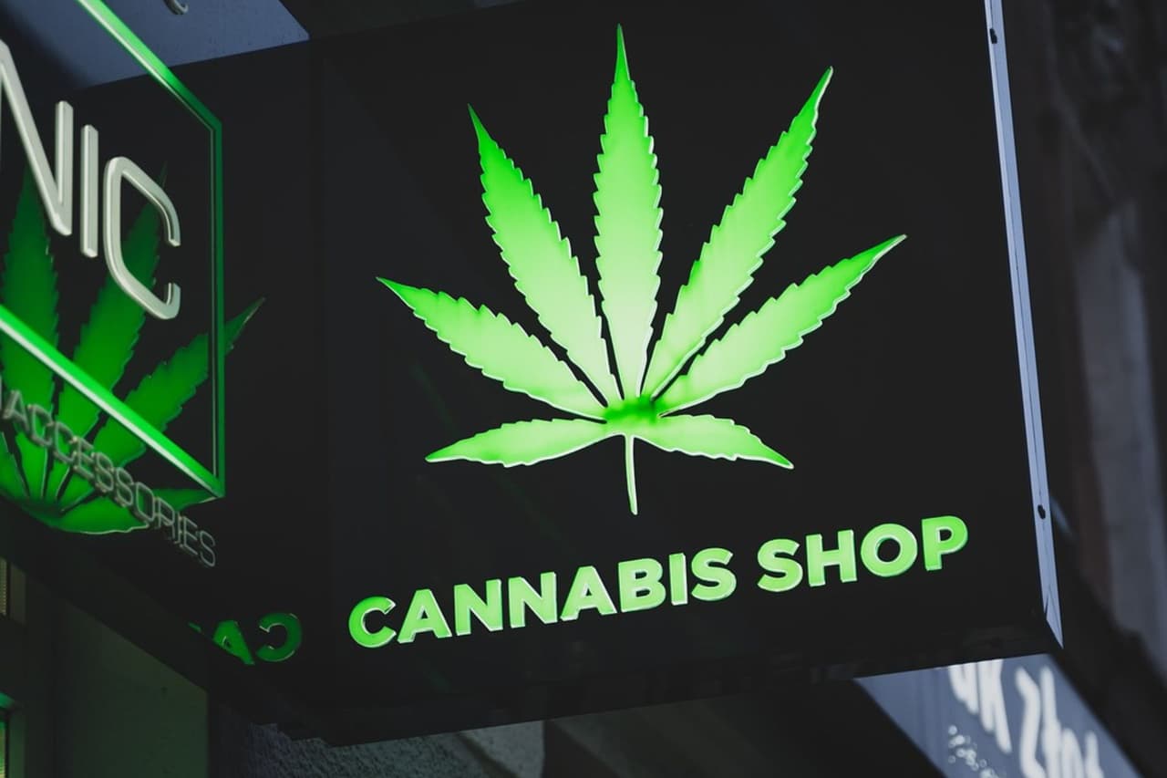 San Francisco prohíbe nuevos negocios de cannabis por 4 años: Detalles y razones detrás de la decisión