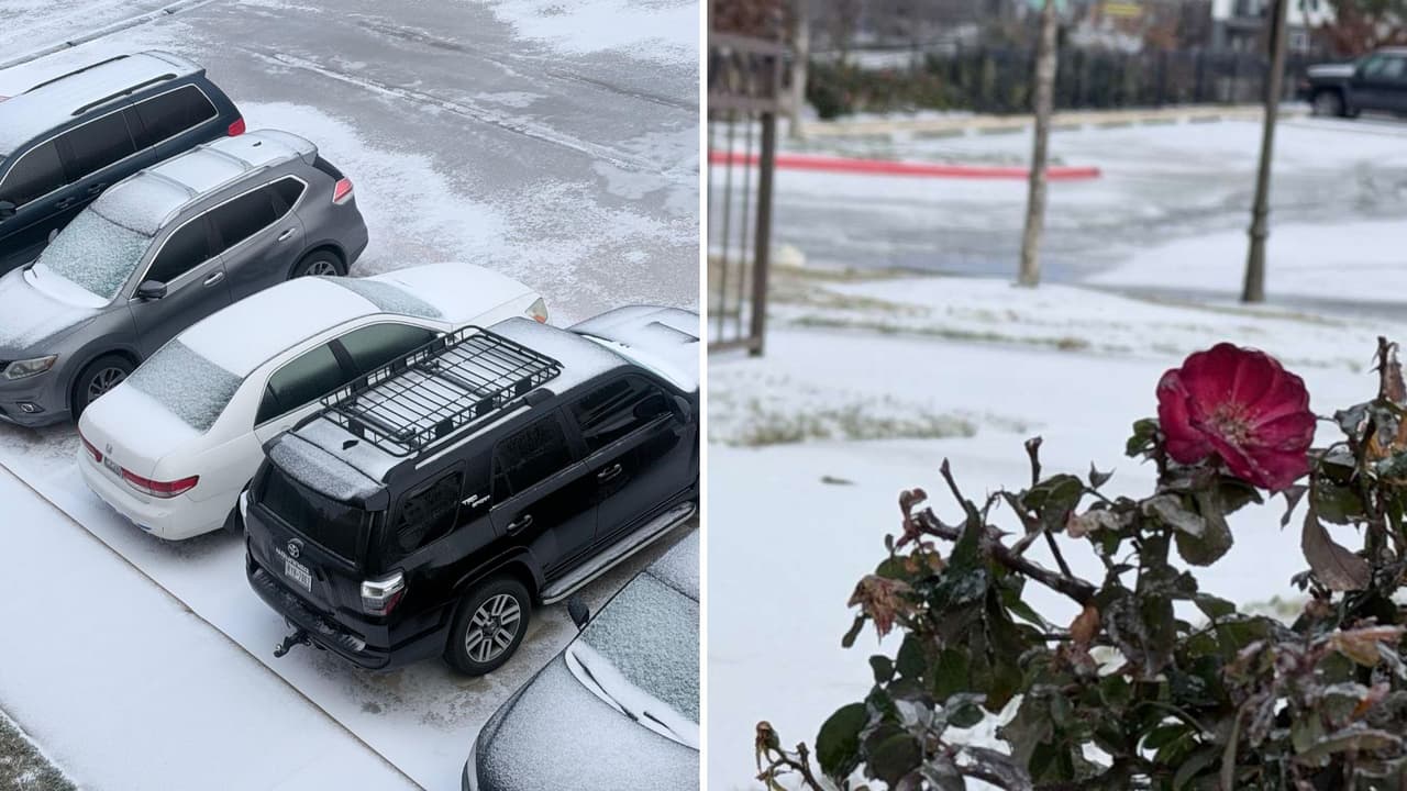 <b>Los jardines y árboles quedaron cubiertos de hielo</b>, creando un paisaje completamente blanco en el centro de Texas. La capa de hielo también ha provocado que las superficies estén resbaladizas, afectando la movilidad y la seguridad de los vecinos.
<br>