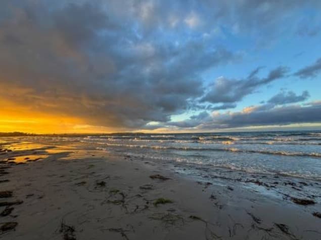 Pierna hallada en playa de California resuelve, 28 años después, misterio de banquero desaparecido