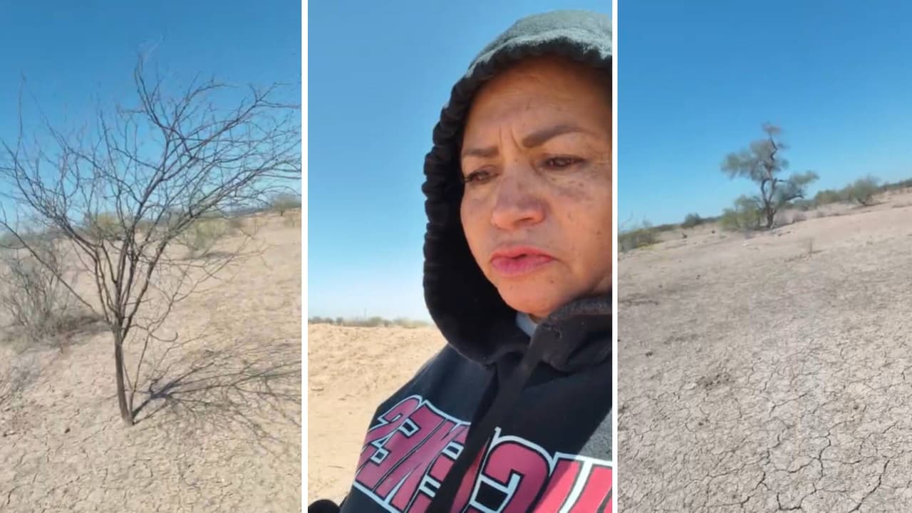 “Vamos a casa, hijo”: Madre buscadora informa que localizaron restos que podrían ser de su familiar en Sonora