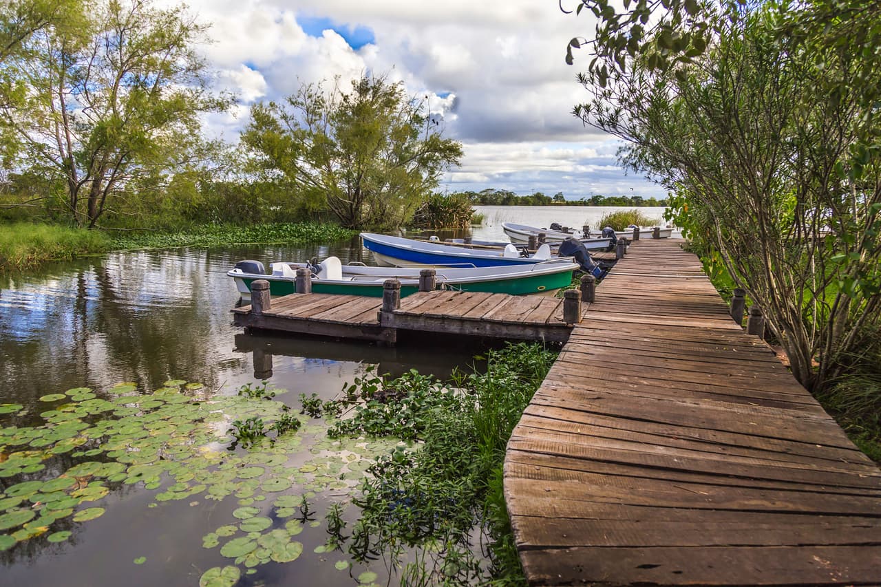 <b>Iberá Park (Argentina)</b>
<br>
<br>Esta región del norte de Argentina hace 20 años era una zona rural de ranchos ganaderos. Ahora sus visitantes pueden conocer su nueva área de dos millones de acres de pastizales y humedales protegidos, donde se resguadan decenas de especies.
<br>