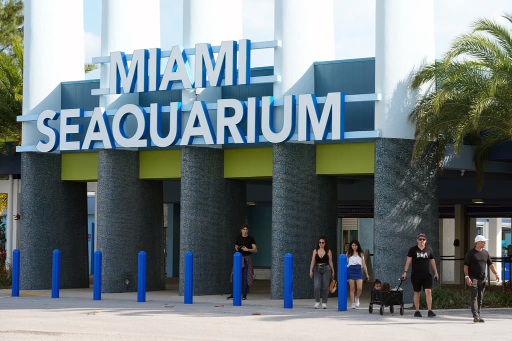Miami Seaquarium cierra sus puertas tras 70 años de operaciones