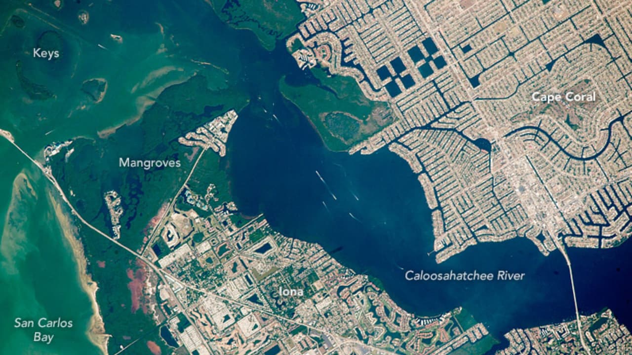 Conocida por su extenso sistema de canales y viviendas asequibles, Cape Coral ofrece una alta seguridad y precios de casas en torno a $382,000.