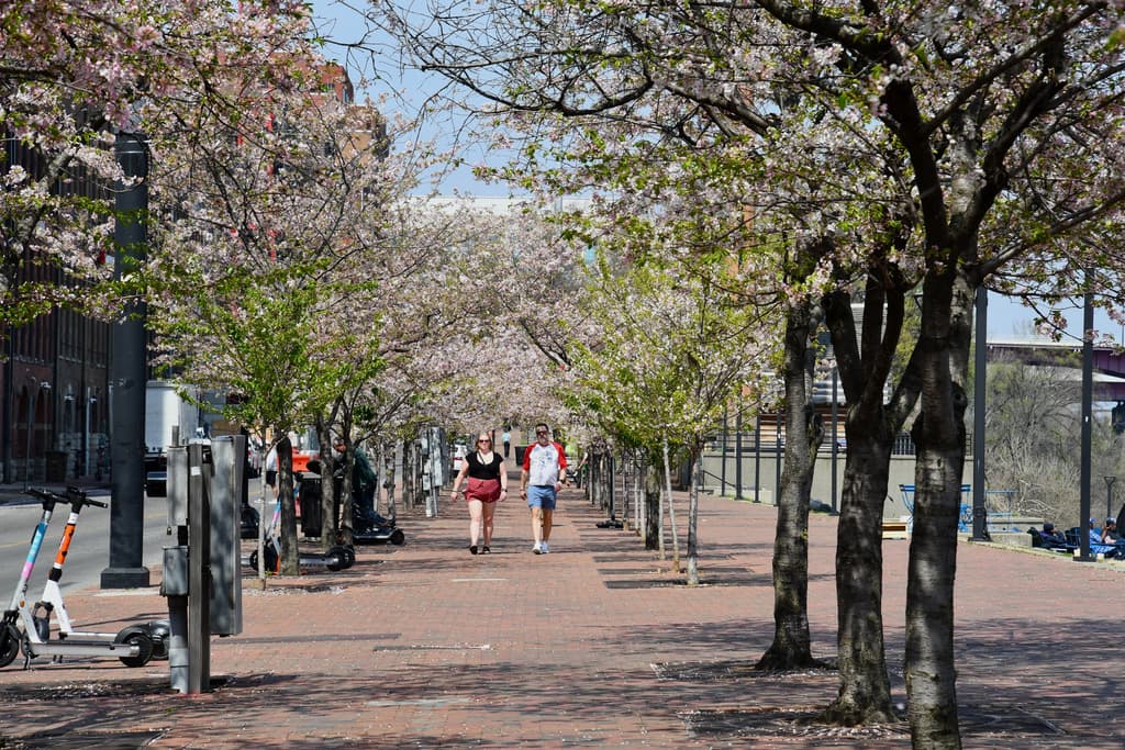 El tiempo para mañana viernes: tormentas severas y caída brusca de temperaturas, ¿dónde persiste el calor?