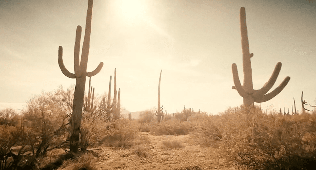 La mujer llevaba consigo su teléfono móvil. Con él,
<b>pudo enviar una serie de audios a su familia</b>, relatando lo duro de su travesía, con una voz que, poco a poco, daba cuenta de cómo su salud se iba deteriorando de manera irremediable.