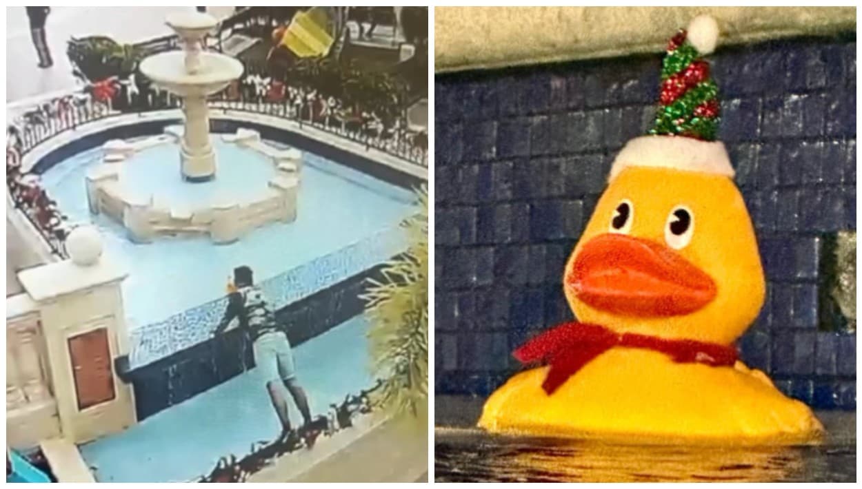 Alcalde de Corozal sabe quién es el ladrón del patito y solo espera que lo regrese