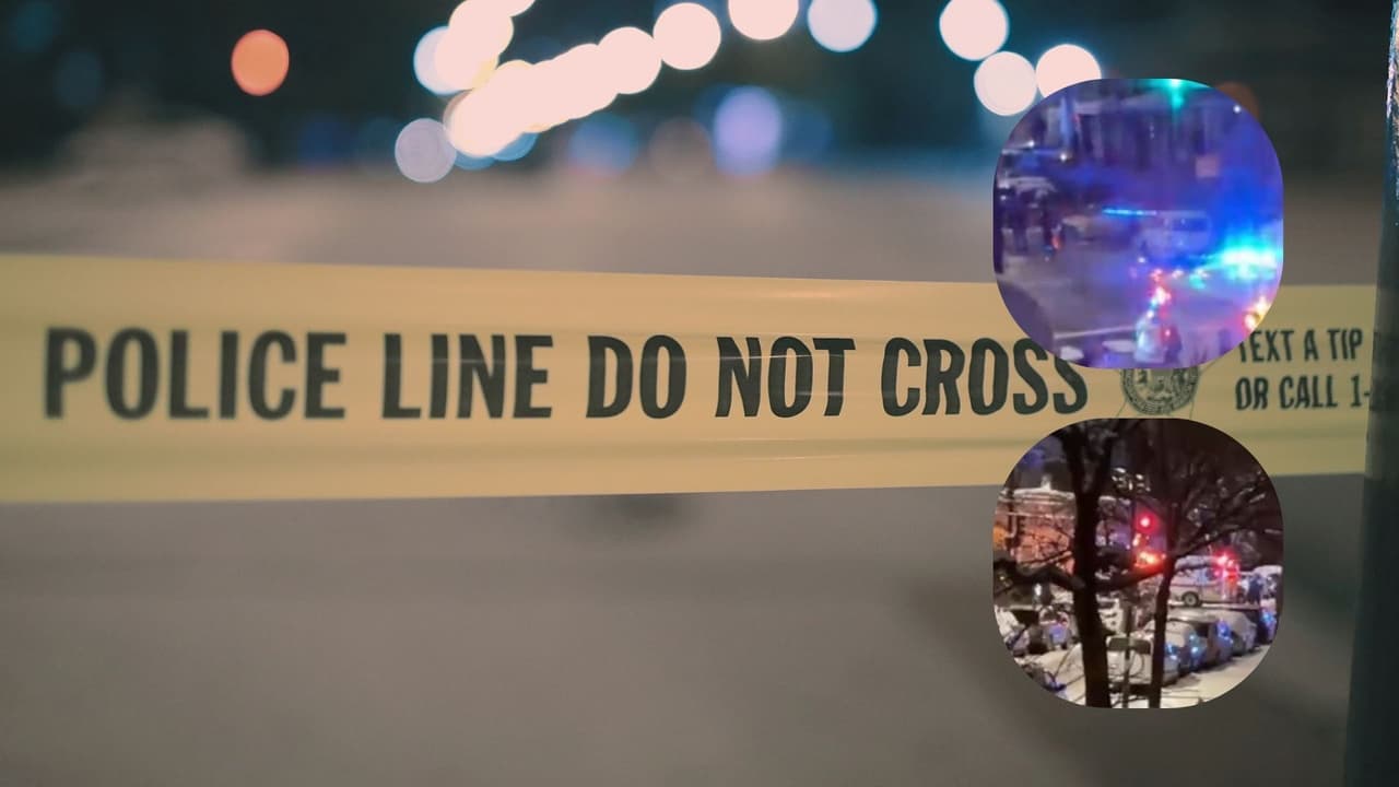 Accidente vehicular al noroeste de Chicago dejó como saldo una mujer fallecida y otra herida