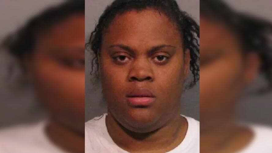 Arrojó a sus hijos pequeños desde un puente: ahora pasará el resto de su vida tras las rejas