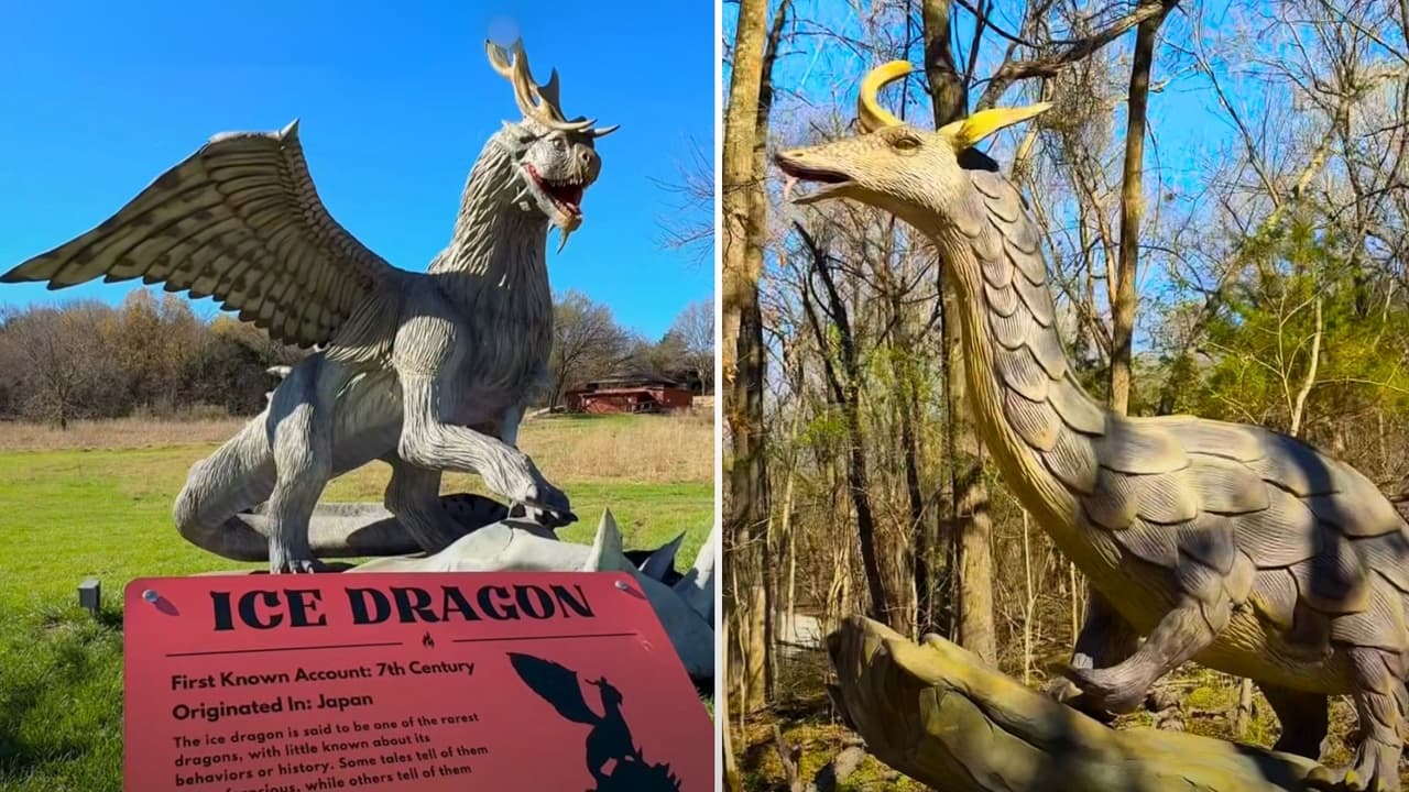Dragones gigantes llegan a McKinney con una nueva atracción familiar al aire libre