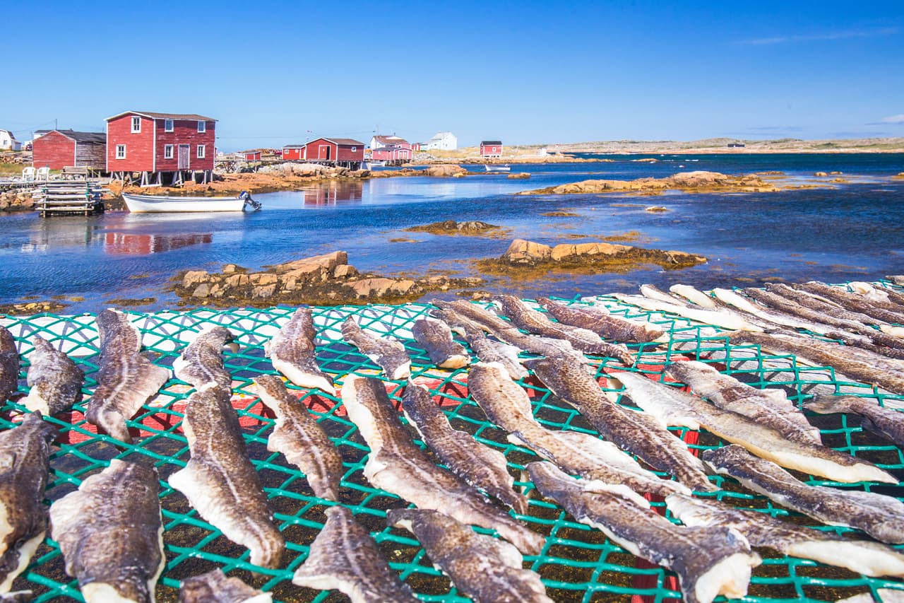 <b>Fogo Island (Canada)</b>
<br>
<br>Las limitaciones legales en la extracción del bacalao afectaron a este pueblo de la costa atlántica, pero la llegada de un hotel en 2013 cambió la suerte de la isla.
<br>
<br>Desde entonces se han abierto más de 70 nuevos negocios y el pueblo se ha estabilizado económicamente. Ahora existen decenas de productores de otros tipos de alimentos y ofertas de posadas turísticas manejadas por locales.
<br>