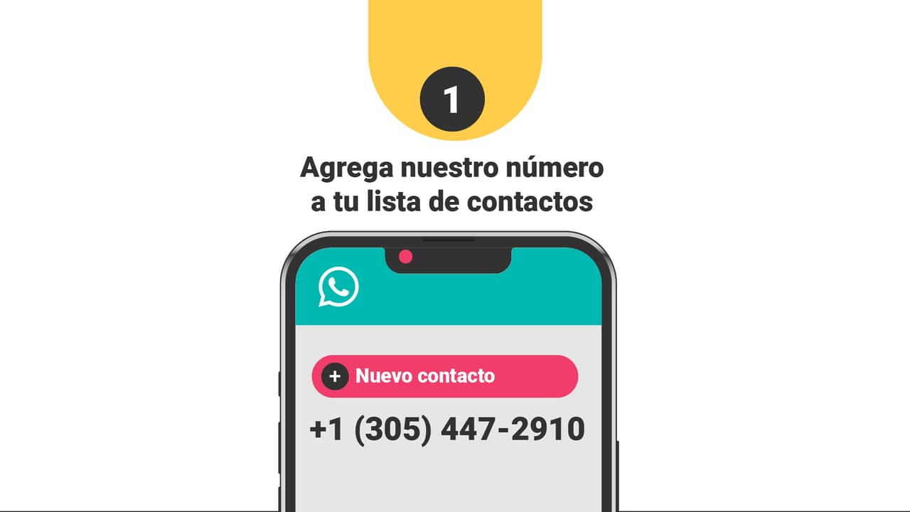 Lo primero: añade a tus contactos del teléfono el número
<b>+1 (305) 447-2910.</b>