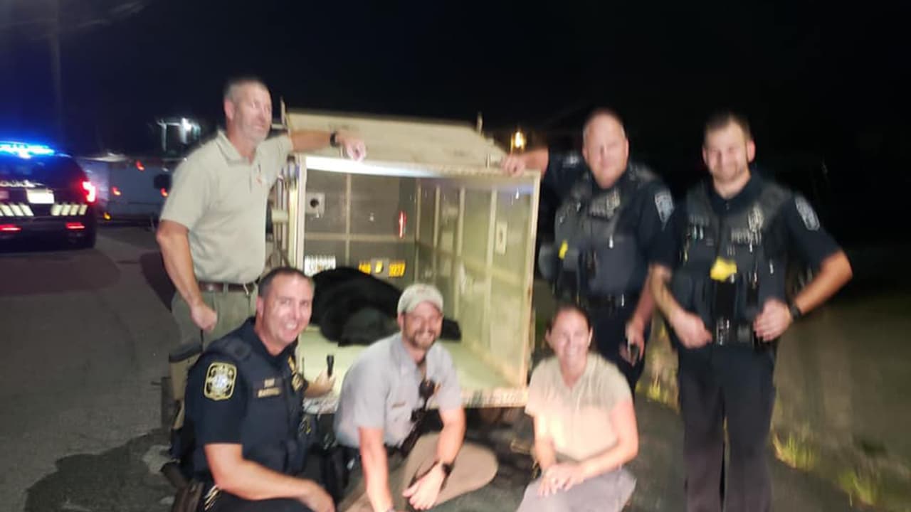 Los funcionarios que participaron en neutralizar al oso para luego reubicarlo en su hábitat al norte de Georgia.