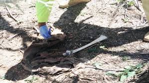 <b>Ocho cadáveres de inmigrantes en un día: la dura labor de buscar cuerpos en el desierto de Arizona</b> Voluntarios de la organización Águilas del Desierto realizaron un recorrido en el área del 'Cerro de la Aguja' y encontraron los restos de ocho inmigrantes.
<br>
