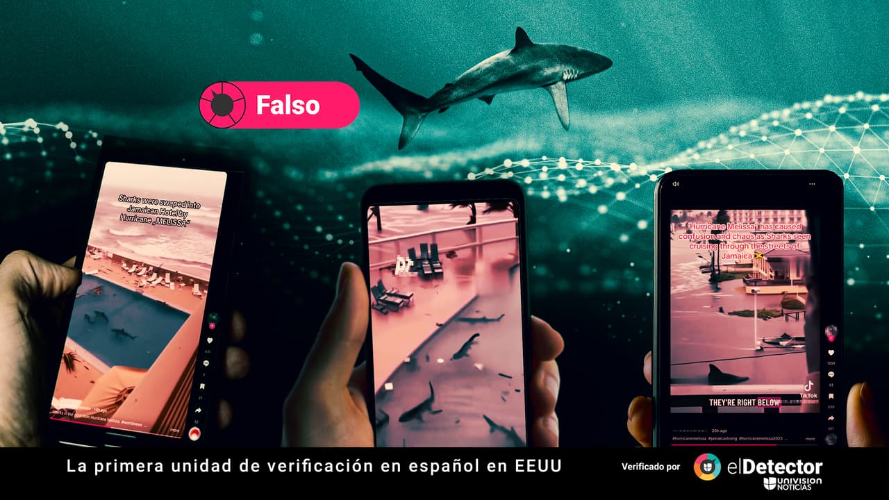 Tiburones en piscinas tras el paso del huracán Melissa por Jamaica: los videos en redes que no te debes creer