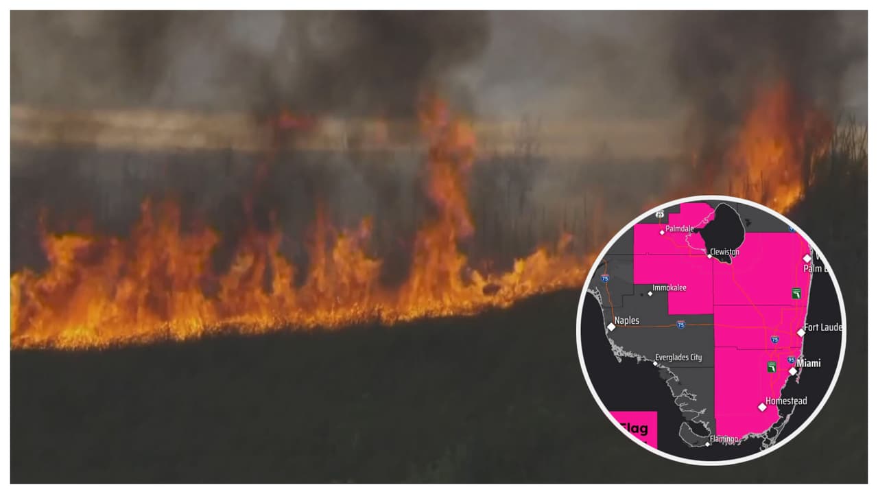Advierten que el viento aumentará la propagación de incendio forestal en el sur de Florida