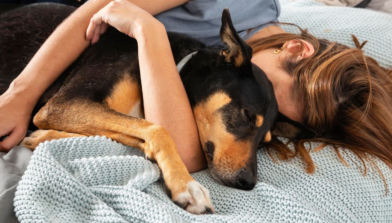 El poder de dormir con tu mascota: así nos acompañan y perciben nuestras emociones