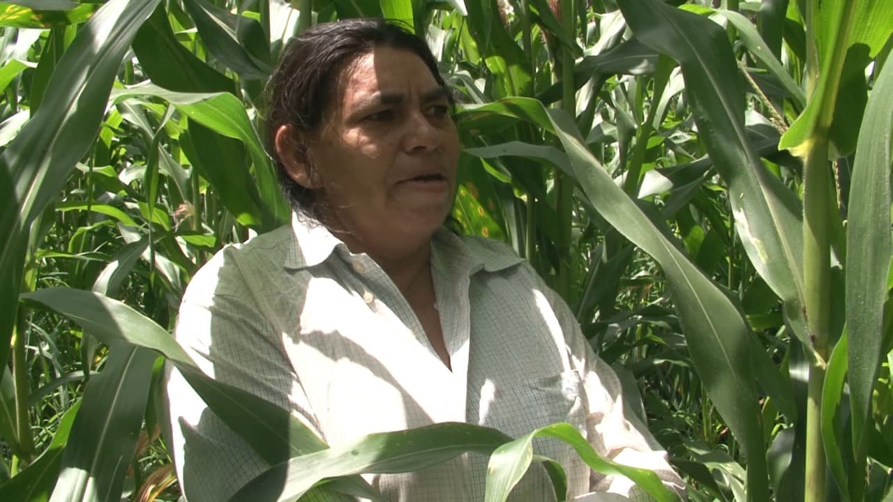 La pobreza convierte pueblos de Honduras en lugares fantasma: "Es triste ver a los hijos despedirse"