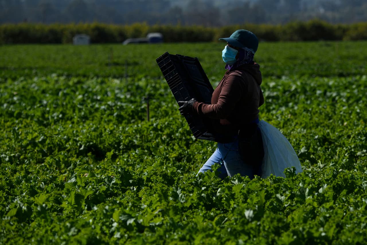 Autoridades consulares señalan que el acompañamiento incluye la
<b>canalización de denuncias hacia instancias locales o estatales</b>, además de seguimiento durante todo el proceso.
<br>