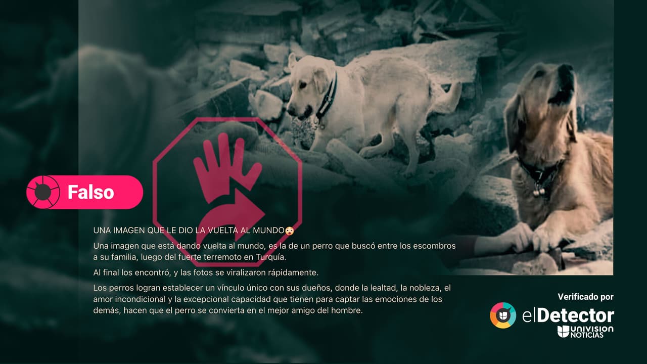 Esas fotos de un perro sobre escombros no son de los terremotos en Turquía: se tomaron en 2018