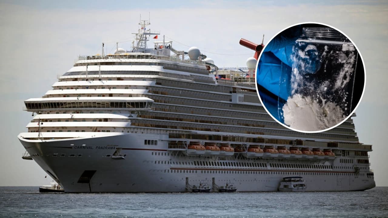 Turistas llevaban carfentanilo, la droga para elefantes: los 4 detenidos viajaban en crucero hacia Bermuda