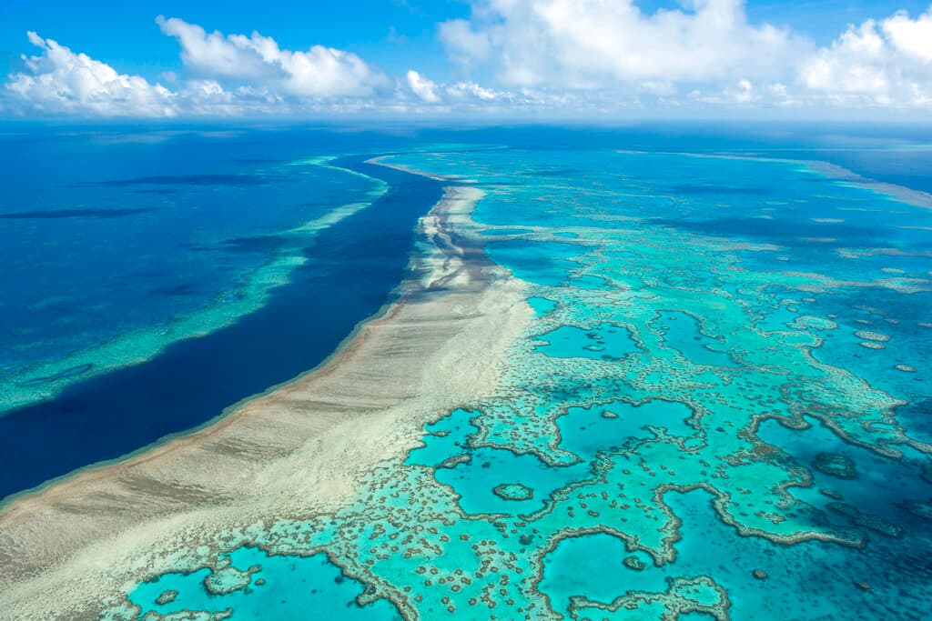 "Mamá murió sola": la desolación de la familia de la anciana que falleció tras ser olvidada por un crucero en una isla remota