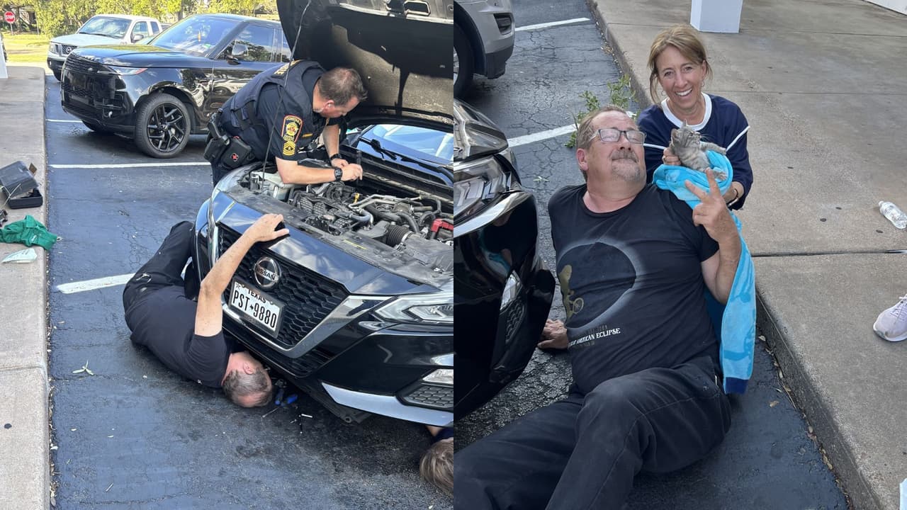 Así fue el rescate de una gatita que terminó atrapada en el motor de un auto en Texas